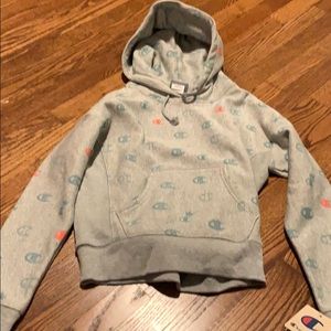 champion reverse weave logo hoodie